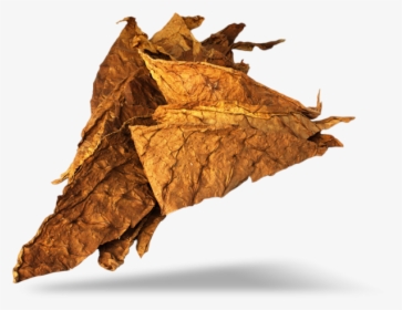 Tobacco Png Image - Tabaccoo Leaf Png, Transparent Png, Free Download