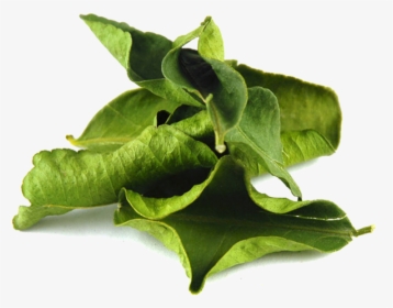 Kaffir Lime Leaves Transparent Image - Dried Lime Leaves, HD Png Download, Free Download