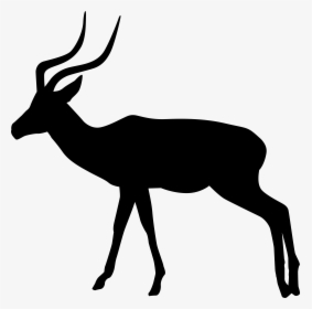 White Tailed Deer Clipart Rusa, HD Png Download, Free Download