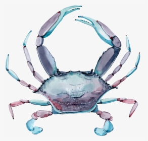 Crab Png Transparent Images - Fresh Crab, Png Download, Free Download