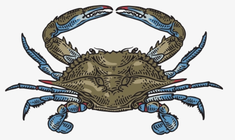 Freshwater Crab, HD Png Download, Free Download