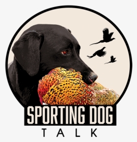 Sportingdogtalk Logo Rgb Small - Sporting Dog Talk, HD Png Download, Free Download