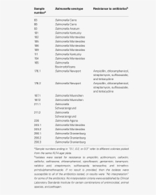 Document, HD Png Download, Free Download