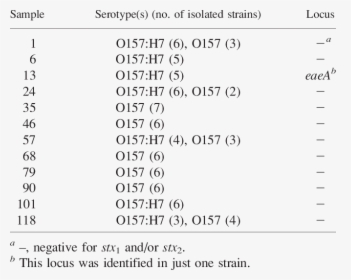 Table For Serotyping Of E Coli, HD Png Download, Free Download
