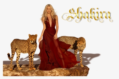 Big Cats, HD Png Download, Free Download