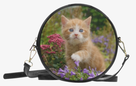 Cute Ginger Kitten Funny Baby Pet Animal In A Garden - Marinette's Bags, HD Png Download, Free Download