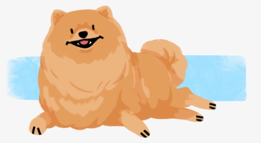 A Pomeranian For Doggust Day 27 - Dog Yawns, HD Png Download, Free Download