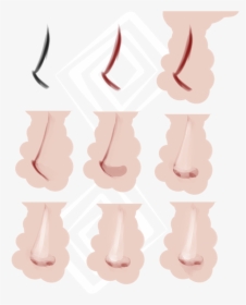 Nose Anime Eyes Google Search Noses Pinterest Anime - Illustration, HD Png Download, Free Download