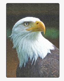 Bald Eagle Head 001 01 Blanket 58"x80" - Eagle Head, HD Png Download, Free Download