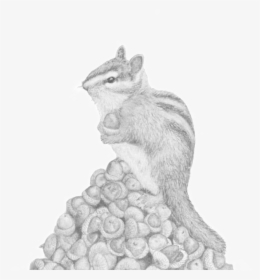 Hoardy, The Hoarding Chipmunk - Eastern Chipmunk, HD Png Download, Free Download