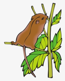 Clip Art, HD Png Download, Free Download