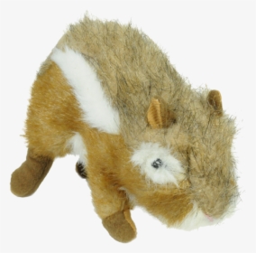Punxsutawney Phil, HD Png Download, Free Download