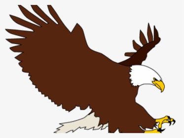 Bald Eagle Clipart Transparent Background - Eagle Clip Art Png, Png Download, Free Download
