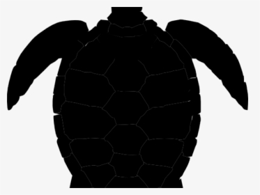 French Clipart Turtle - Silhouette Turtle Vector Png, Transparent Png, Free Download