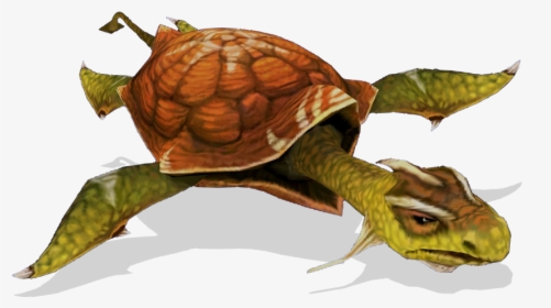 Sphinx And The Cursed Mummy Wiki - Eastern Box Turtle, HD Png Download, Free Download