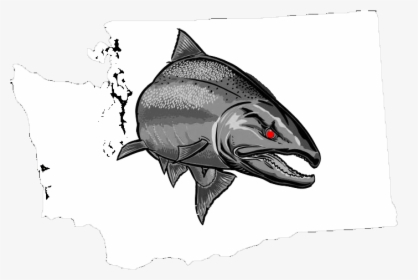 Washington State Png, Transparent Png, Free Download