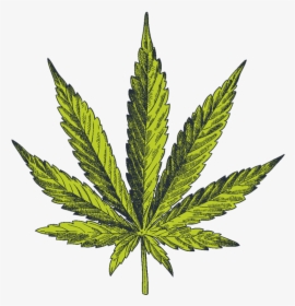 Realistic Pot Leaf Drawing, HD Png Download, Free Download