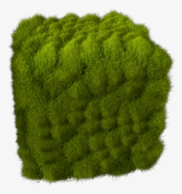Grass - Wool, HD Png Download, Free Download