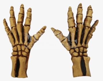 Bone Skeleton Gloves, HD Png Download, Free Download