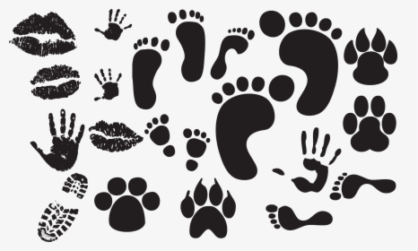 Feet Vector Free Download, HD Png Download, Free Download