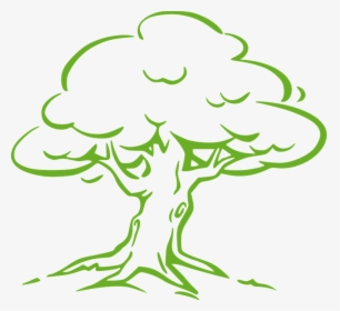 Oak Tree Simple Drawing, HD Png Download, Free Download
