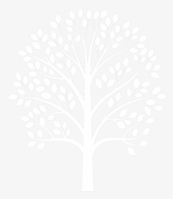 Big Tree PNG Images, Free Transparent Big Tree Download - KindPNG
