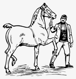 Pony,livestock,horse Tack - Man On A Horse Clipart, HD Png Download, Free Download