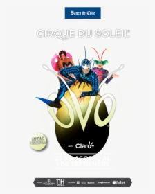 Cirque Du Soleil Ovo , Png Download - Cirque Du Soleil San Diego Ovo, Transparent Png, Free Download
