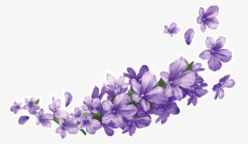 Warehouse Backgrounds, Mob Big - Flower Wisteria Png, Transparent Png, Free Download