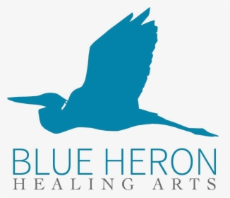 Blue Heron Healing Arts - Seabird, HD Png Download, Free Download