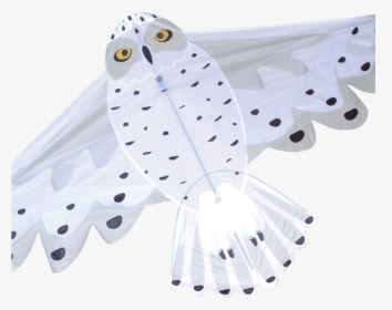 Transparent Snow Owl Png - Plastic, Png Download, Free Download