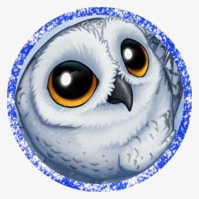 Owl Drawing, HD Png Download, Free Download