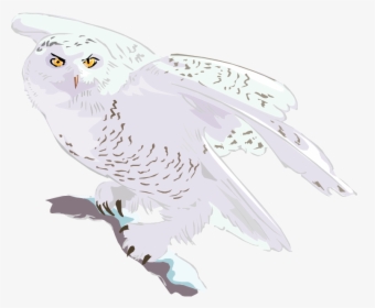 Flying Transparent Snowy Owl Clipart, HD Png Download, Free Download