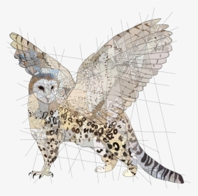 Asked Me To Do A Griffin Made Of A Barn Owl And A Snow - Snowy Owl, HD Png Download, Free Download