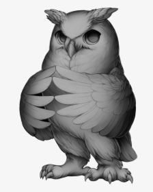 Barn Owl Base, HD Png Download, Free Download