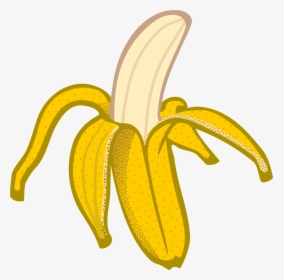 Transparent Bananas Clipart - Clipart Banana, HD Png Download, Free Download