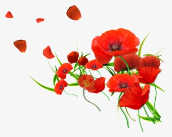 Red Petals Are Beautiful And Warm , Png Download - Poppies Transparent Background, Png Download, Free Download