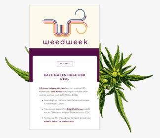 Cannabis Email Examples, HD Png Download, Free Download