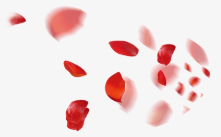 #rose #rosepetals #petals #red #roses #flower #flowers - Strawberry, HD Png Download, Free Download