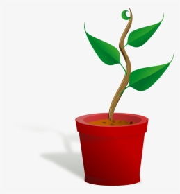 Getting To Know Plants, HD Png Download, Free Download