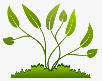 Branch, Grow, Growing, Leaf, Nature, Plants, Tree - Plants Clipart Png, Transparent Png, Free Download