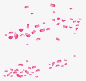 Pink Rose Valentines Drift Petals International Womens - Flower Background For Photoshop, HD Png Download, Free Download