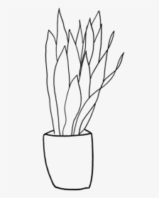 Picture - Flowerpot, HD Png Download, Free Download