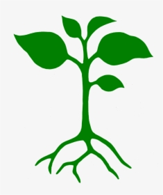 Community Stencils Local Food Connect Master - Growing Plant Clipart Png, Transparent Png, Free Download