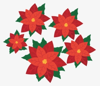 Poinsettia Flower Plant Free Picture - Transparent Poinsettia, HD Png Download, Free Download