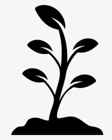 Growing Plant - Plant Vector Black And White, HD Png Download, Free Download