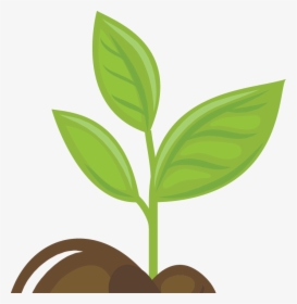 Growing Plants Animation Png, Transparent Png, Free Download