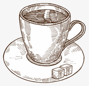 Clip Art Coffee Cup Drawing - Coffee Drawing Png, Transparent Png, Free Download