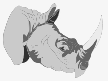 Rhino, Safari, Africa, African, Wildlife Horn, Ivory - One Horned Rhino Art, HD Png Download, Free Download