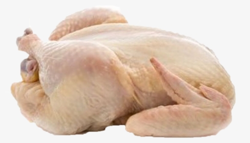 Chicken Png Free Background - Poultry Products, Transparent Png, Free Download